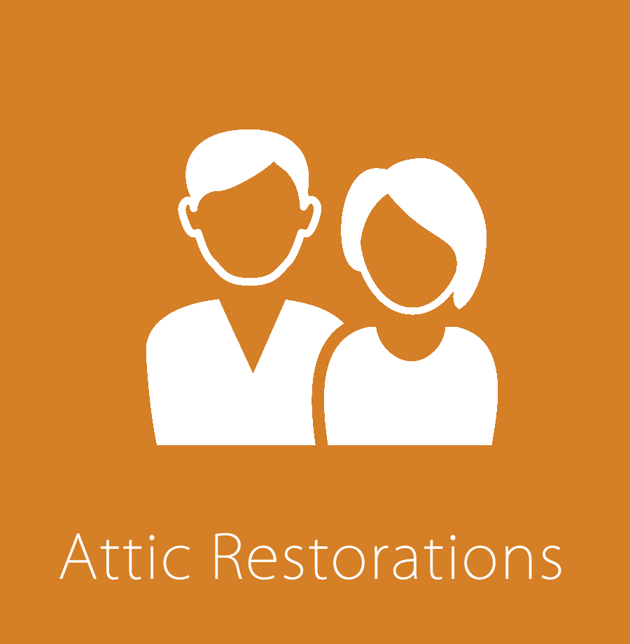 Attic Restorations & Repair from Pest & Wild Animal Damage