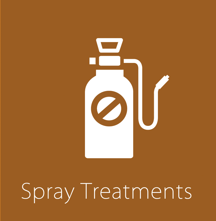 Insect Exterminator & Spraying Treatments
