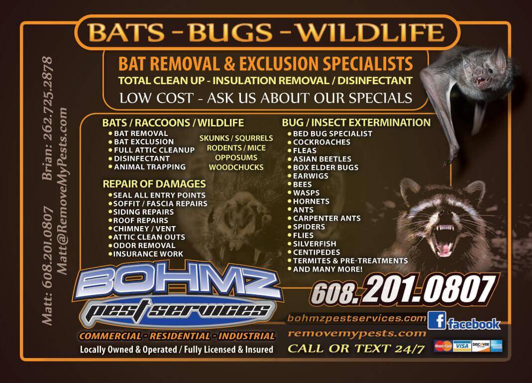 Bohmz Pest Control Wild Animal Removal Wisconsin